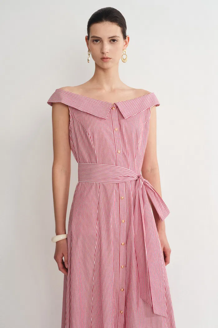 2960-claudia-striped-shirt-dress-in-cotton-poplin-1.webp