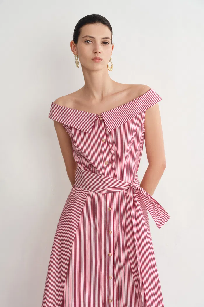 2960-claudia-striped-shirt-dress-in-cotton-poplin-1.webp