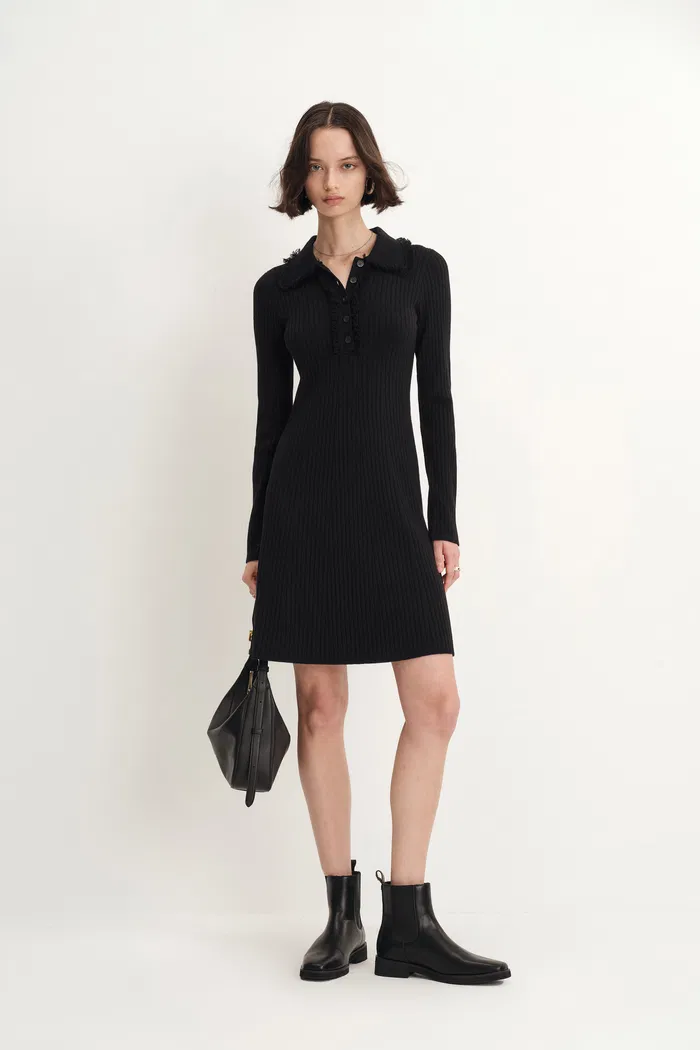 5135-anja-fringe-collar-long-sleeve-short-dress-in-merino-wool-knit-1.webp
