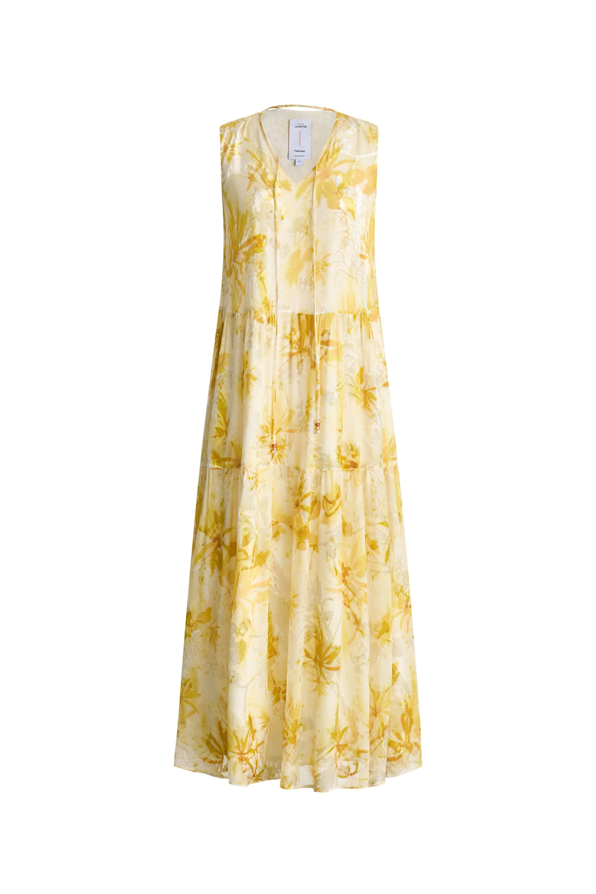 8149-amelia-sleeveless-maxi-dress-in-burnout-silk-georgette-1.webp