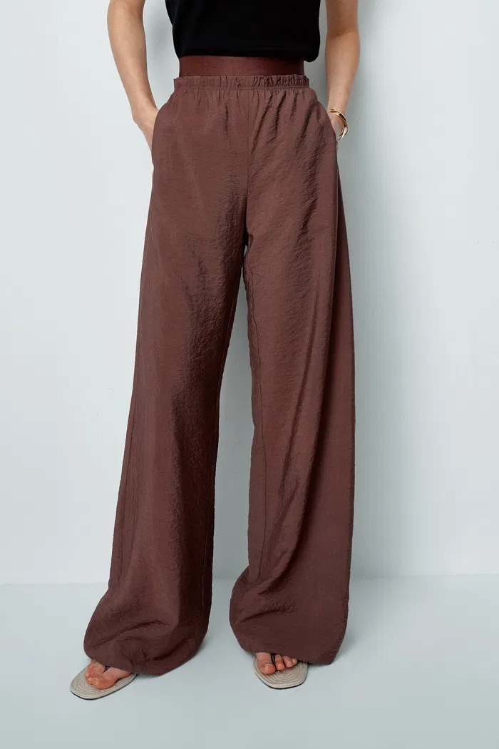 Harper Elastic Waist Wide Leg Pants in Dry Mulberry Silk