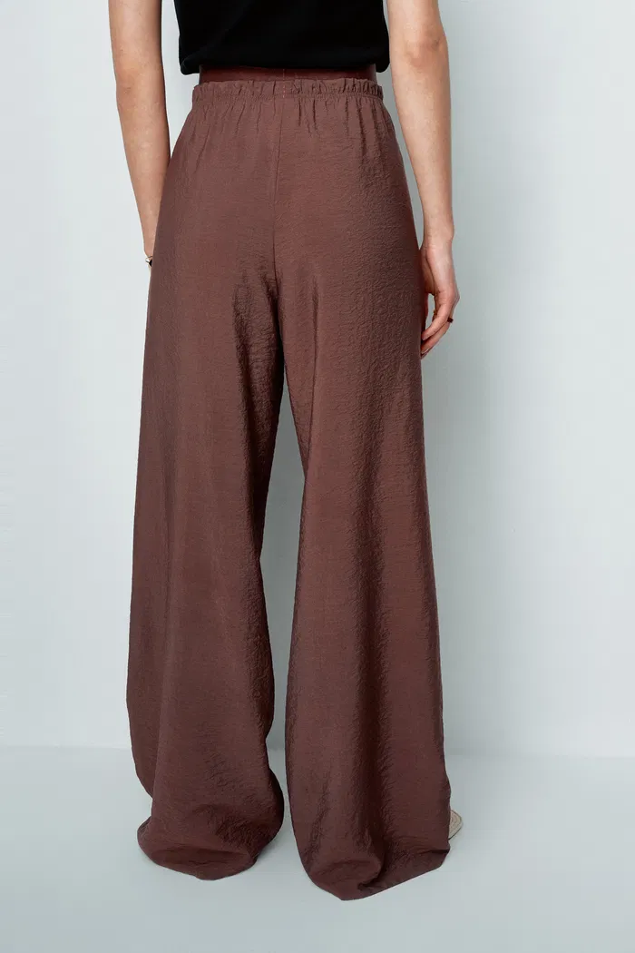 844-harper-elastic-waist-wide-leg-pants-in-dry-mulberry-silk-1.webp