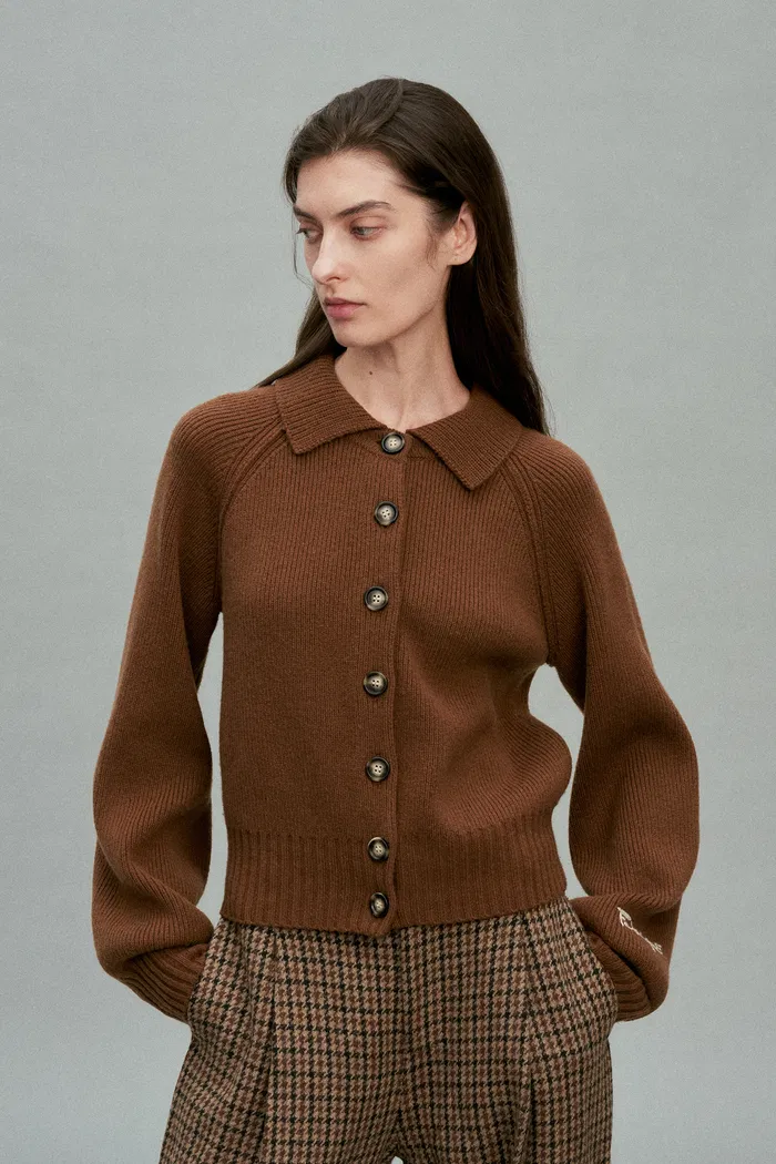8813-demi-collared-cardigan-in-merino-wool-cashmere-1.webp