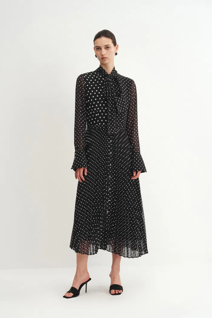 9505-ellie-polka-dot-dress-in-chiffon-1.webp