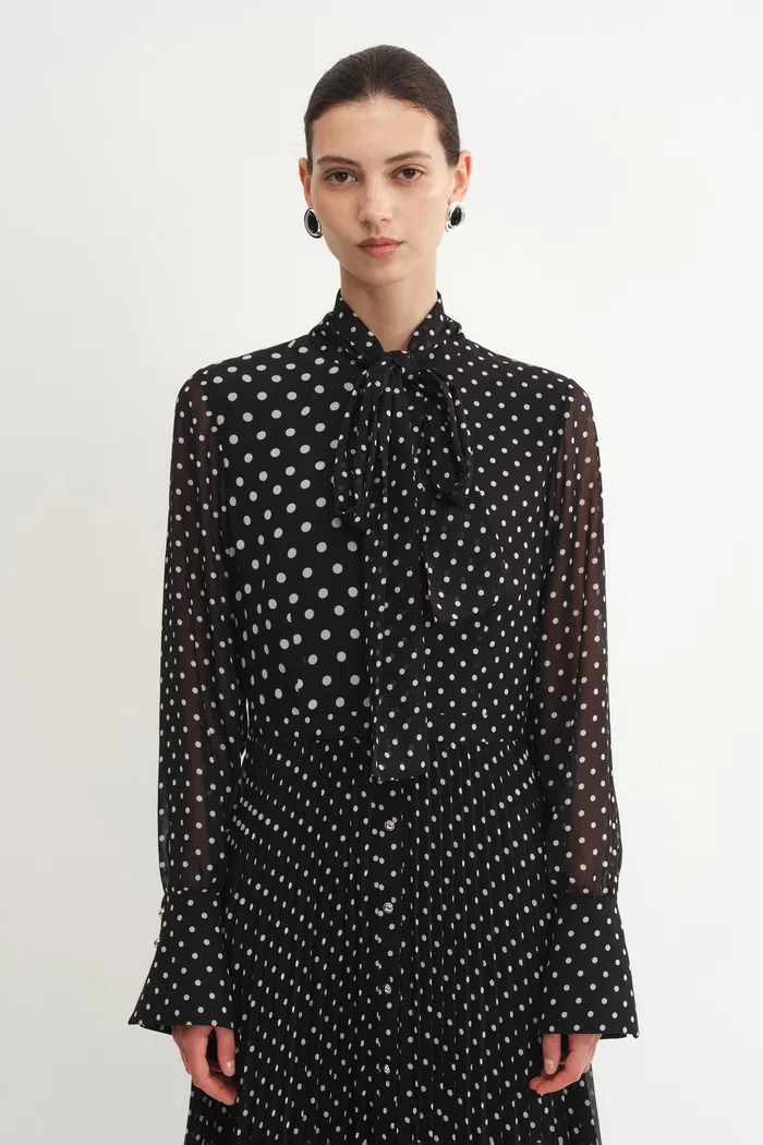 9505-ellie-polka-dot-dress-in-chiffon-1.webp