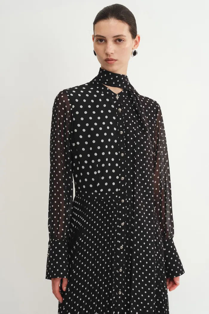 9505-ellie-polka-dot-dress-in-chiffon-1.webp