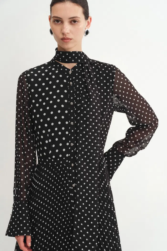 9505-ellie-polka-dot-dress-in-chiffon-1.webp