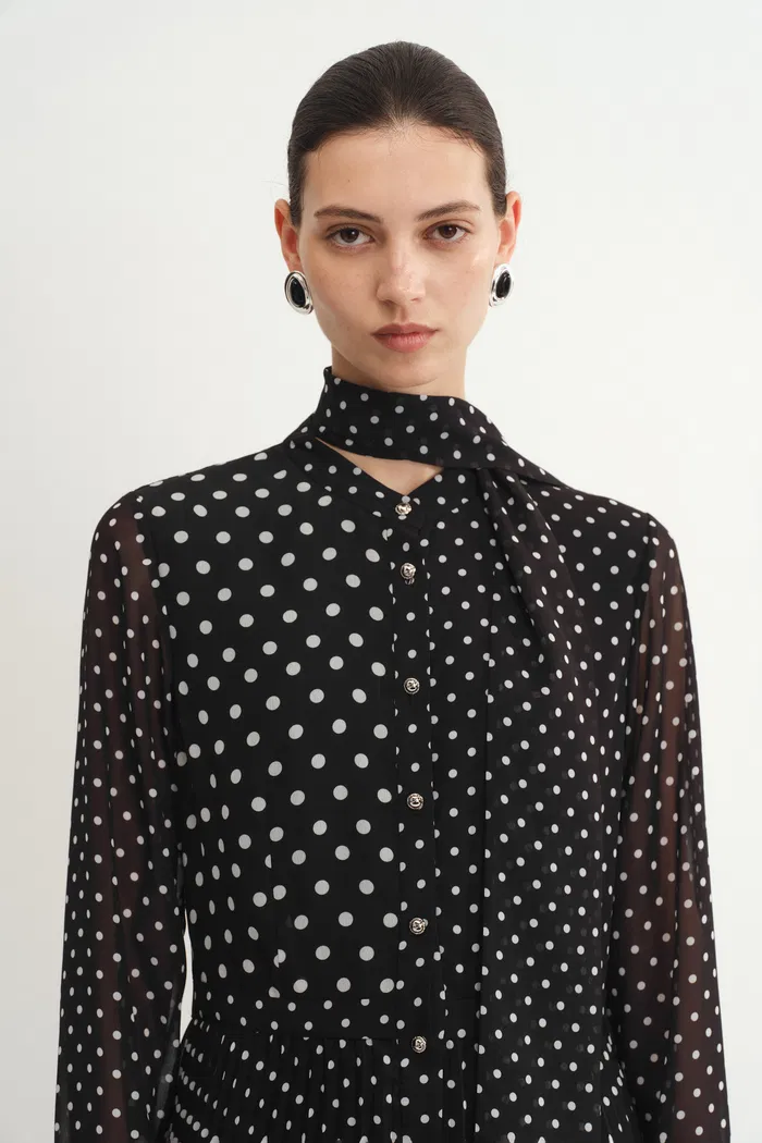 9505-ellie-polka-dot-dress-in-chiffon-1.webp