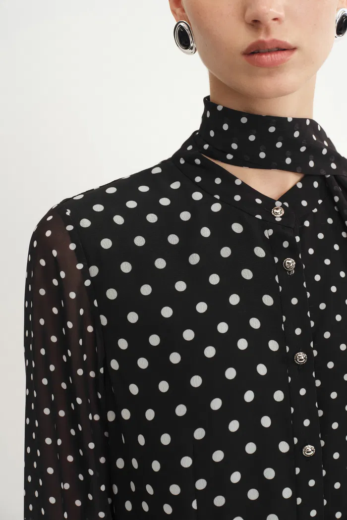9505-ellie-polka-dot-dress-in-chiffon-1.webp